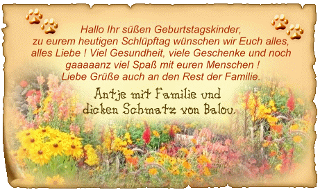 alles liebe zum jahrestag