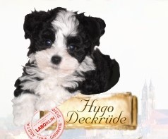 Prinzchen Hugo